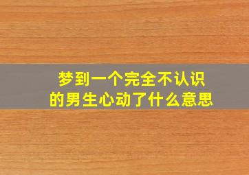 梦到一个完全不认识的男生心动了什么意思