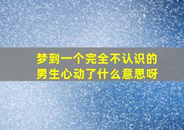 梦到一个完全不认识的男生心动了什么意思呀