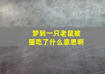 梦到一只老鼠被猫吃了什么意思啊