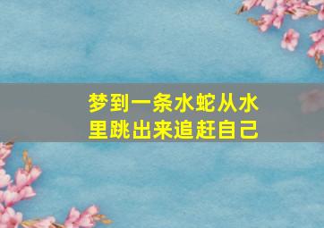 梦到一条水蛇从水里跳出来追赶自己