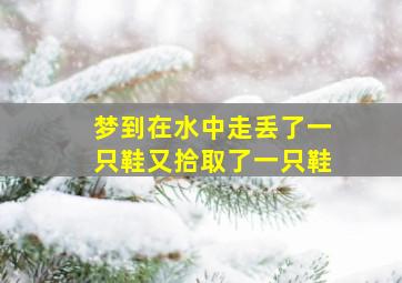 梦到在水中走丢了一只鞋又拾取了一只鞋