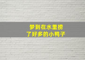 梦到在水里捞了好多的小鸭子