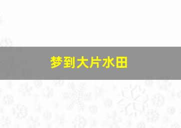 梦到大片水田