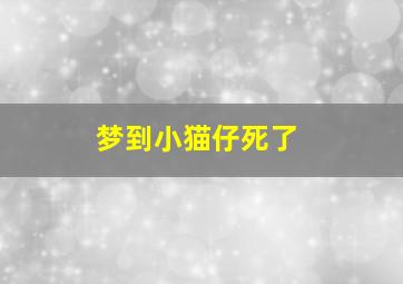 梦到小猫仔死了