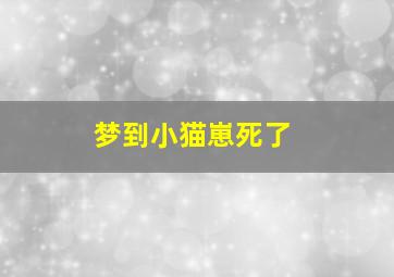 梦到小猫崽死了