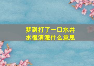 梦到打了一口水井水很清澈什么意思