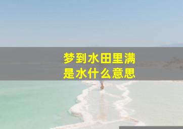 梦到水田里满是水什么意思