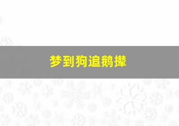 梦到狗追鹅撵