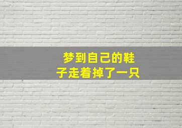 梦到自己的鞋子走着掉了一只