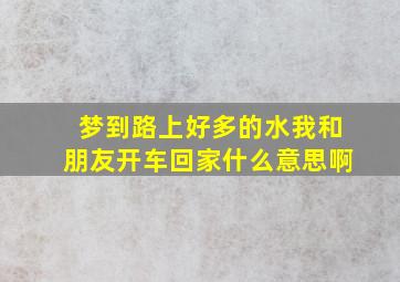 梦到路上好多的水我和朋友开车回家什么意思啊