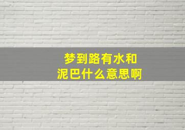 梦到路有水和泥巴什么意思啊