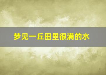 梦见一丘田里很满的水