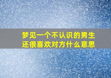 梦见一个不认识的男生还很喜欢对方什么意思