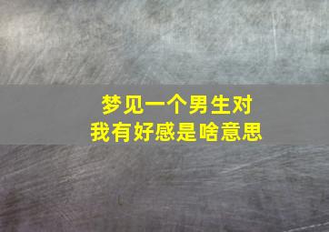 梦见一个男生对我有好感是啥意思