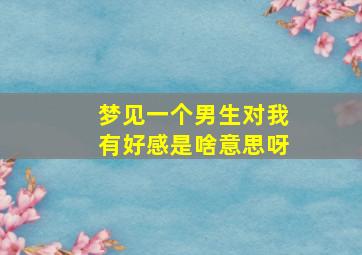 梦见一个男生对我有好感是啥意思呀