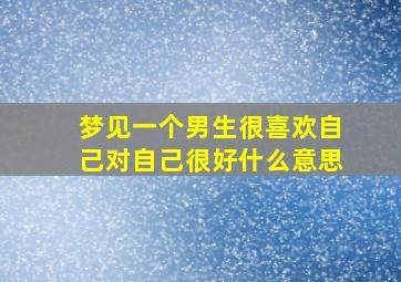 梦见一个男生很喜欢自己对自己很好什么意思