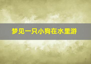 梦见一只小狗在水里游