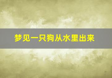 梦见一只狗从水里出来