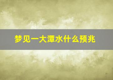 梦见一大潭水什么预兆