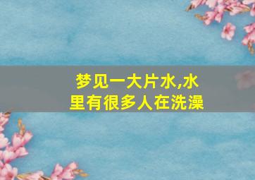 梦见一大片水,水里有很多人在洗澡