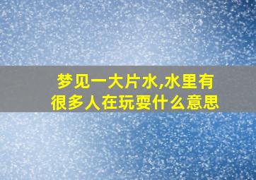 梦见一大片水,水里有很多人在玩耍什么意思