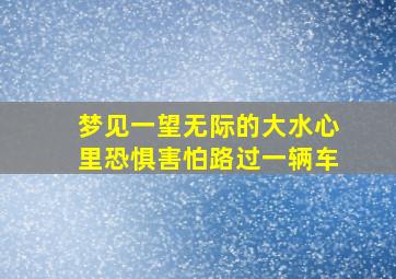 梦见一望无际的大水心里恐惧害怕路过一辆车