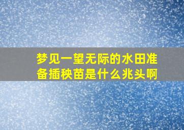 梦见一望无际的水田准备插秧苗是什么兆头啊