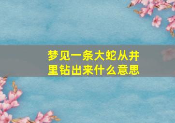 梦见一条大蛇从井里钻出来什么意思