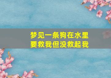 梦见一条狗在水里要救我但没救起我