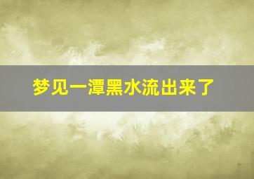 梦见一潭黑水流出来了