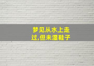 梦见从水上走过,但未湿鞋子