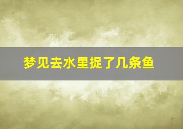 梦见去水里捉了几条鱼