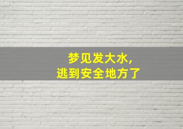 梦见发大水,逃到安全地方了