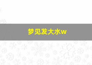 梦见发大水w