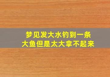 梦见发大水钓到一条大鱼但是太大拿不起来