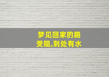 梦见回家的路受阻,到处有水