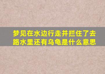 梦见在水边行走并拦住了去路水里还有乌龟是什么意思