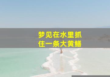 梦见在水里抓住一条大黄鳝