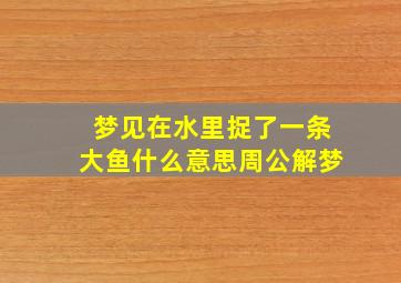 梦见在水里捉了一条大鱼什么意思周公解梦