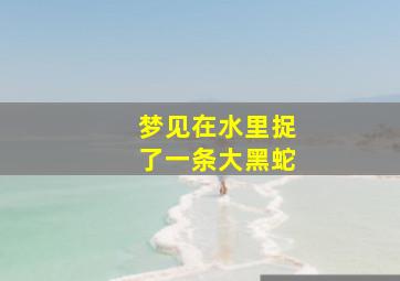 梦见在水里捉了一条大黑蛇