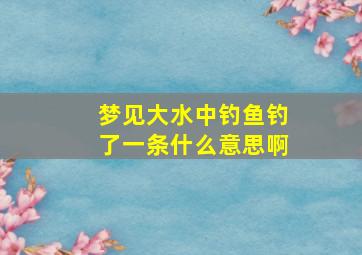 梦见大水中钓鱼钓了一条什么意思啊