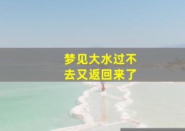 梦见大水过不去又返回来了