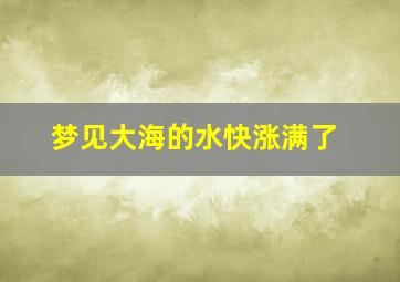 梦见大海的水快涨满了