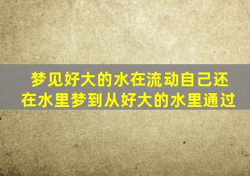 梦见好大的水在流动自己还在水里梦到从好大的水里通过