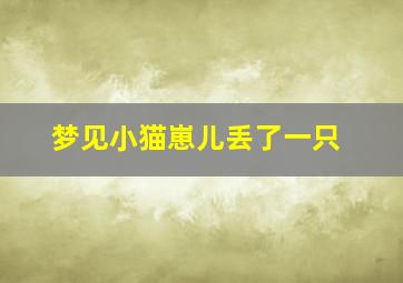 梦见小猫崽儿丢了一只