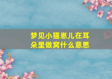 梦见小猫崽儿在耳朵里做窝什么意思