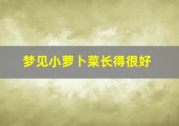 梦见小萝卜菜长得很好