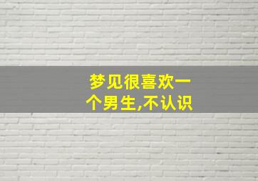 梦见很喜欢一个男生,不认识