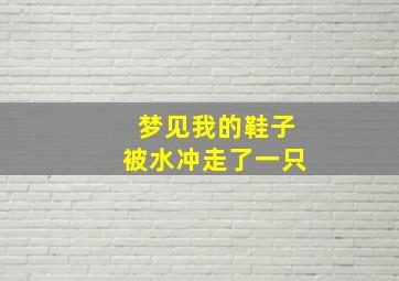 梦见我的鞋子被水冲走了一只