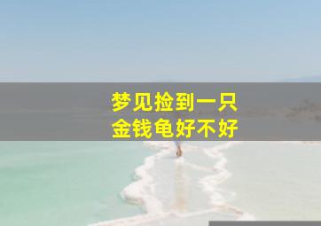 梦见捡到一只金钱龟好不好